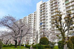 関西シェアハウス,天保山第五コーポ1号棟,外観